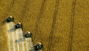 Combine harvesters at work in Brazil