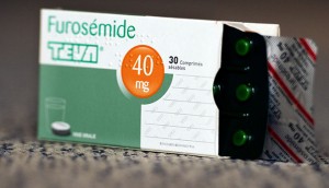 Teva Furosemide