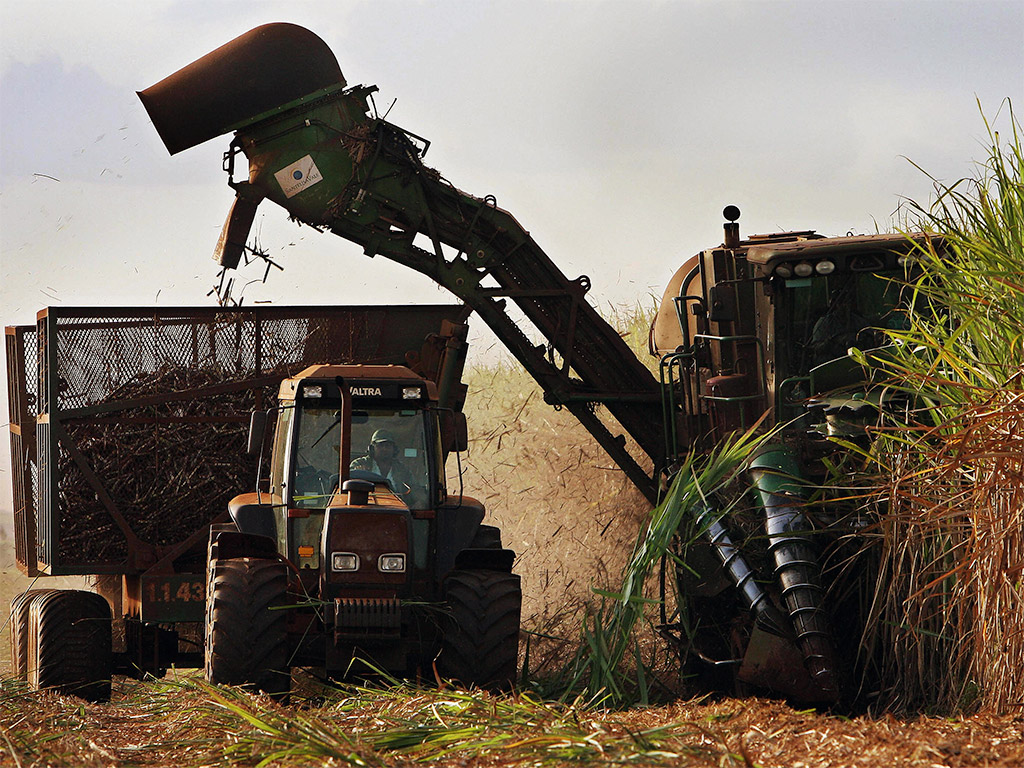 Many are concerned about the future of Brazil's sugar market, which accounts for 20 percent of the world's sugar supply, going into deficit as tough economic conditions ensue
