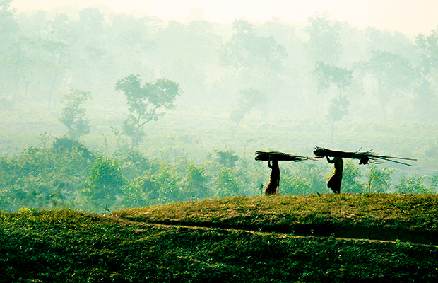 Two people working in agriculture, Bangladesh. The country's economic growth has been significant over the past 10 years, but with greater investment it could accelerate beyond analysts' predictions