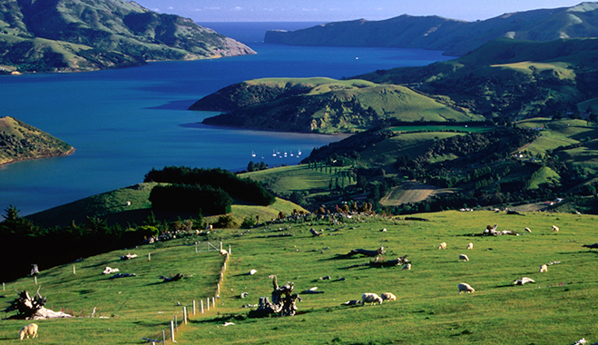 Akaroa harbour, New Zealand. The country’s agriculture has allowed for strong trade ties with China