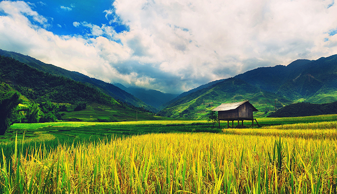 The beautiful scenery of Vietnam. The country has struggled to make the most of its agricultural food products, but companies such as SSIAM are helping to exploit its potential