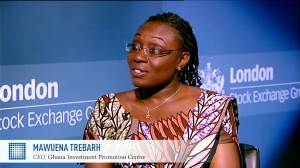 Mawuena Trebarh, CEO of the Ghana Investment Promotion Centre