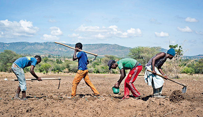 Farmers in Rwanda plant seeds provided by One Acre Fund. Utilising the products and support many are able to generate a profit