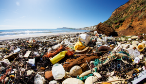 Washed-up waste on the Isle of Wight’s shore. Plastic deposits are one of the main reasons the ocean economy is under threat