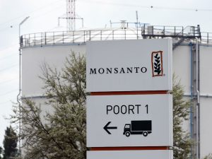 Agribusiness giant Monsanto has announced that it will pull its newest GM cotton seeds from India following a dispute with the Indian Government