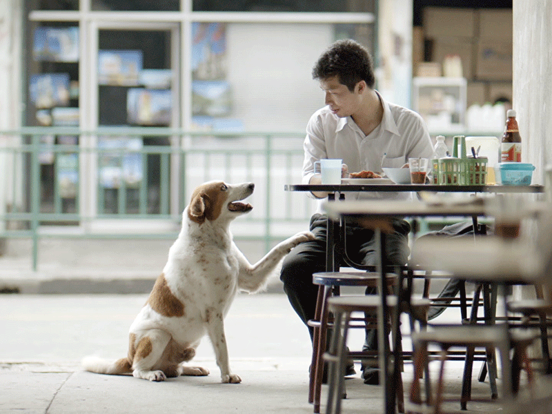 A still from Thai Life Insurance’s commercial, Unsung Hero. The art of emotional advertising is something that has long been embraced at the company