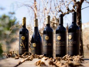 The Israeli winery has established itself over many years and attempts to combine its growing understanding of the terroir, of how to grow vines and the tastes of its consumers