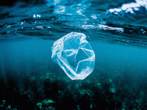 An estimated eight million tonnes of plastic flow into the oceans every year. The detrimental impact of this on the industries and the citizens who rely upon them for their livelihoods is huge