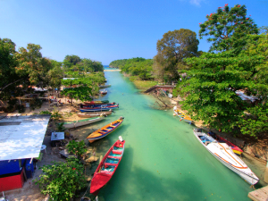 The continued growth of tourism in Jamaica is a double-edged sword. Its success is essential for the country's economy, but its expansion is simultaneously damaging the island's ecosystem