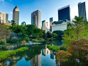 If Central Park, which is around 34 million square feet, were to be completely developed, there would be space for almost 62,000 studio apartments just at ground level
