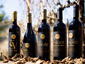 Psagot Winery breathes new life into Israeli winemaking with specialist technology