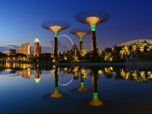 Dragonfly Lake, Singapore