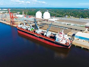 Enviva’s port in Wilmington, NC, exports wood pellets to power and heat generators around the world