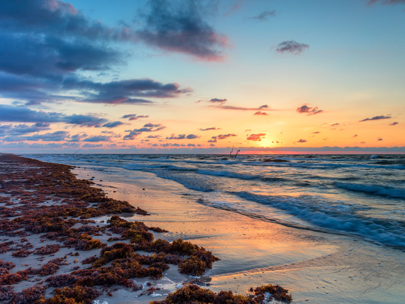 Gulf of Mexico