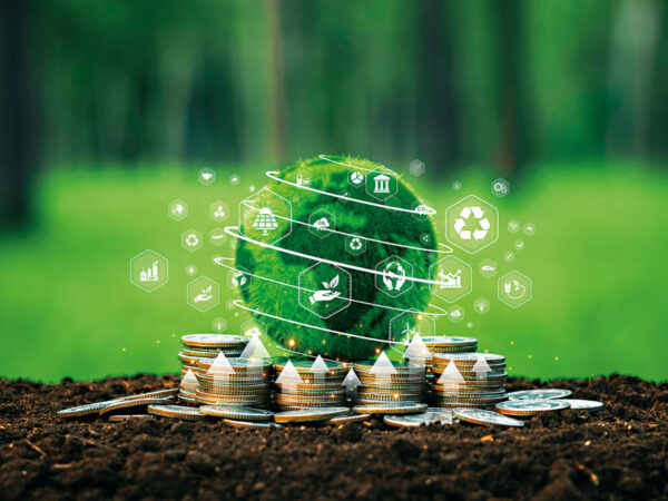 A blueprint for sustainable banking