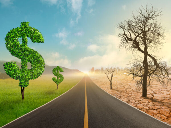 ¿Es la economía la verdadera clave climática?